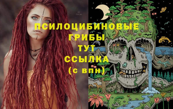 гашишное масло Няндома