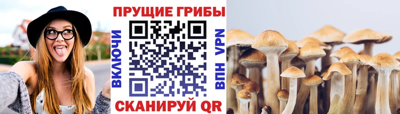 Галлюциногенные грибы мухоморы  дарк нет наркотические препараты  Лукоянов 